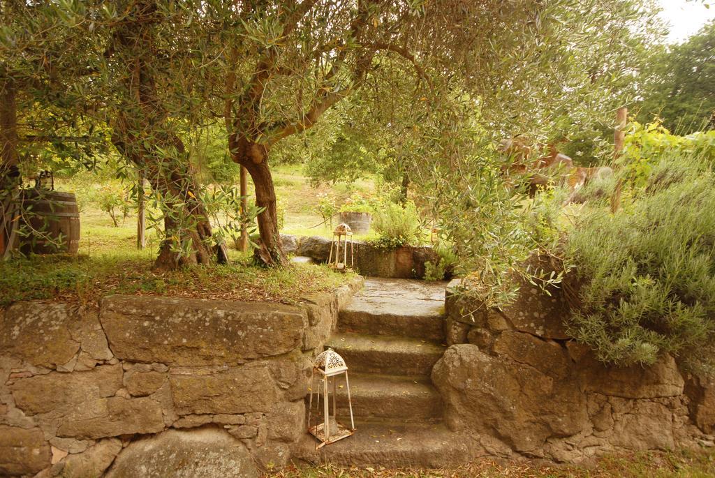 Pieve Di Caminino Historic Farm Villa Podere Caminino Ngoại thất bức ảnh