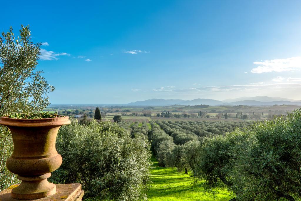 Pieve Di Caminino Historic Farm Villa Podere Caminino Ngoại thất bức ảnh